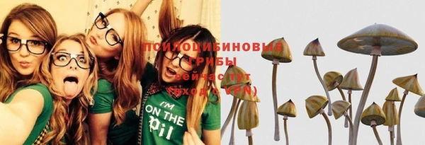 apvp Балабаново