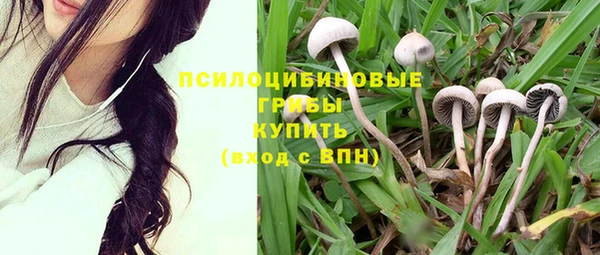 apvp Балабаново