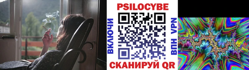где купить   Нолинск  Псилоцибиновые грибы GOLDEN TEACHER 